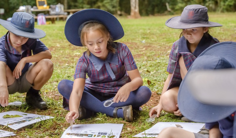 Students conducting plant investigations on a school excursion. Photo: J. Spencer/OEH