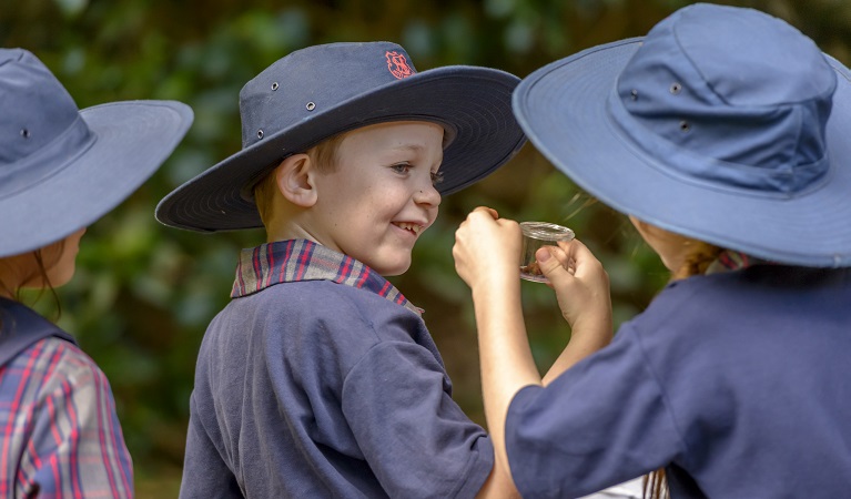 Primary school students doing scientific hands-on activities. Photo: J. Spencer/OEH