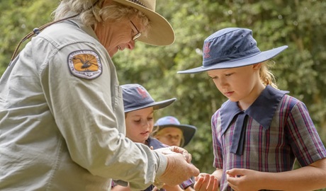 WildTracker nature discovery, guided by national parks staff. Photo: J. Spencer/OEH