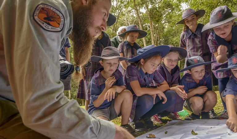 Scientific investigation, guided by national parks staff on a school excursion. Photo: J. Spencer/OEH
