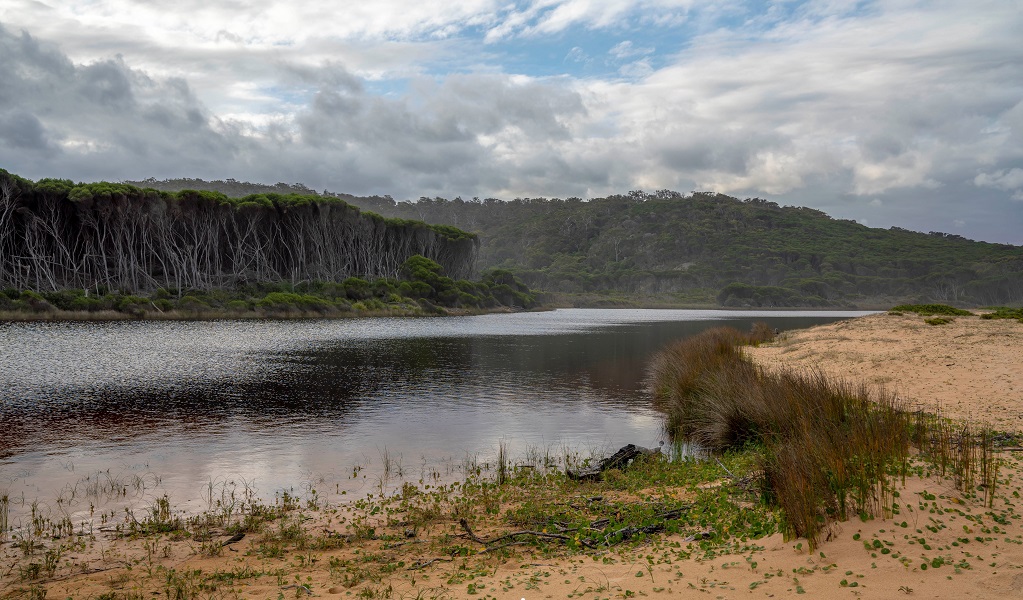 Bournda lagoon, very still under a cloudy sky, looking across to dense bushland on the opposite shores. Credit: John Spencer/DCCEEW &copy; DCCEEW