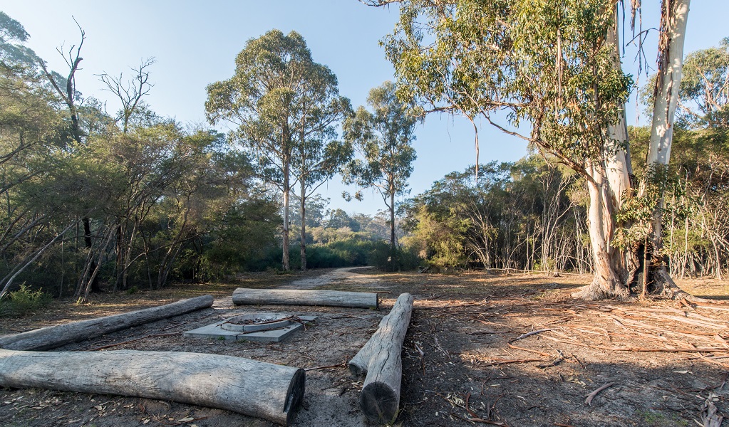 A quiet cooking fire pit in the daytime at Hobart beach campground, Bournda National Park. Credit: Andrew Richards/DCCEEW &copy; DCCEEW