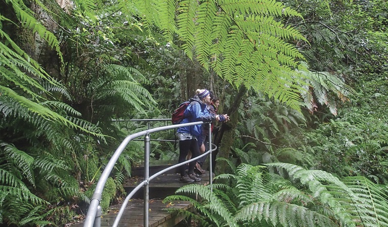 Grand Canyon walking track, Blue Mountains National Park. Photo: Aine Gliddon