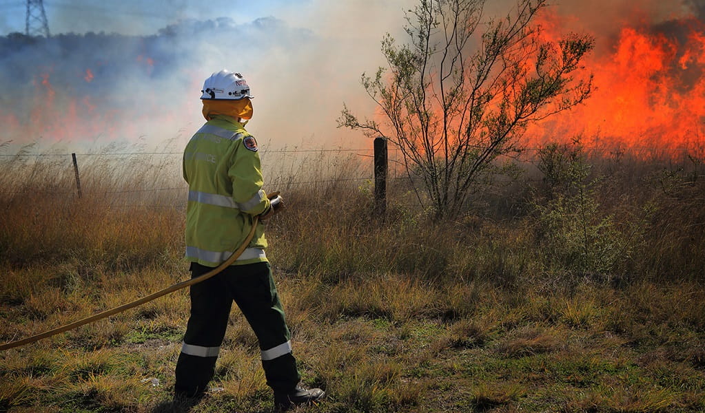 A firefighter working as part of an all-female hazard reduction burn, Scheyville National Park. Photo: Peter Taseki &copy; DPIE