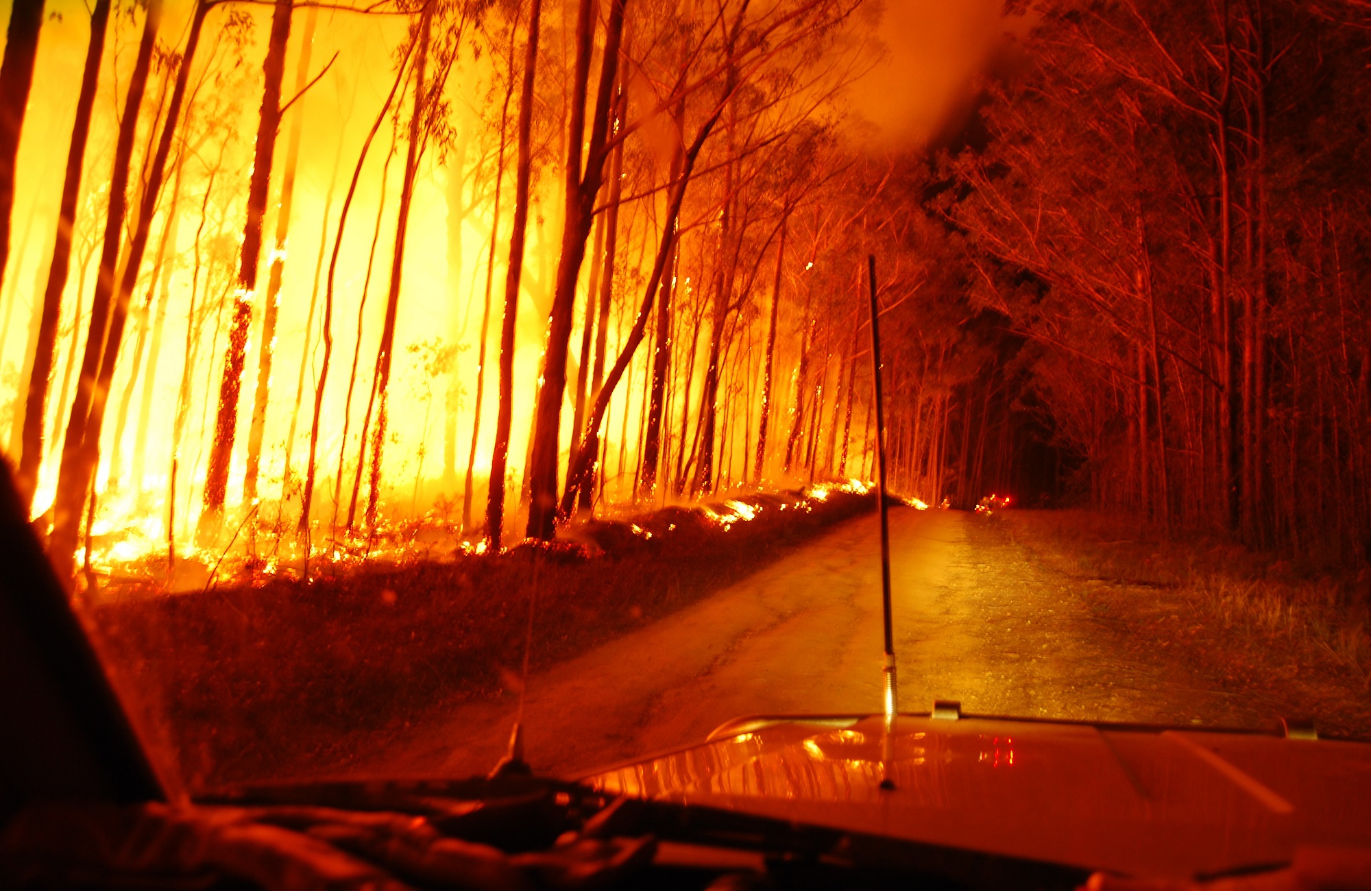 Bushfire, Murramarang National Park. Photo: Michael Jarman &copy; DPIE