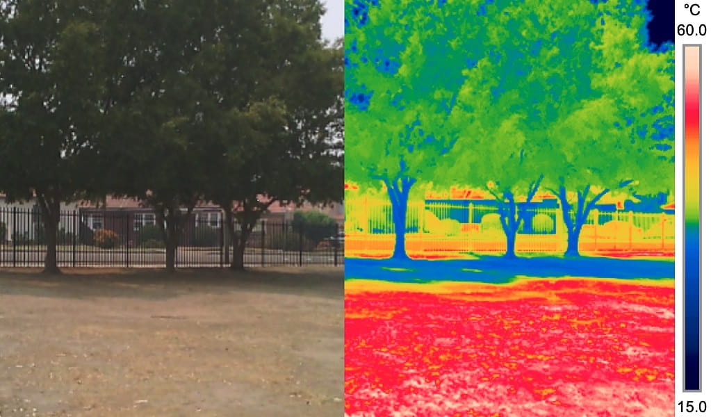 A plan and thermal map image comparison of a school playground, which captures the themes of the resource. Image: Sebastian Pfautsch  &copy; S Pfautsch, Western Sydney University