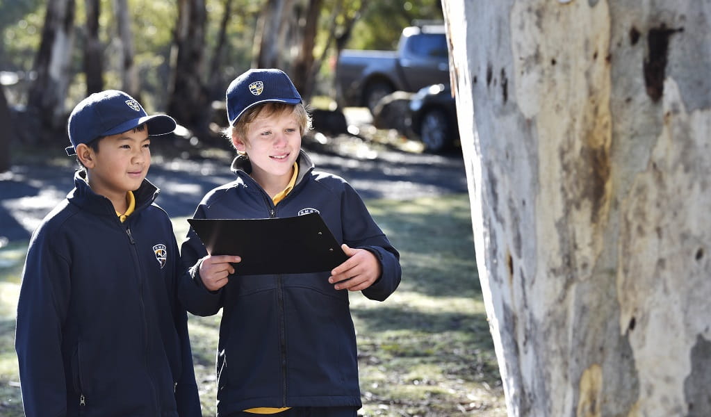 Two young students in the field, beside a tree. Photo: Adam Hollingworth &copy; DPE