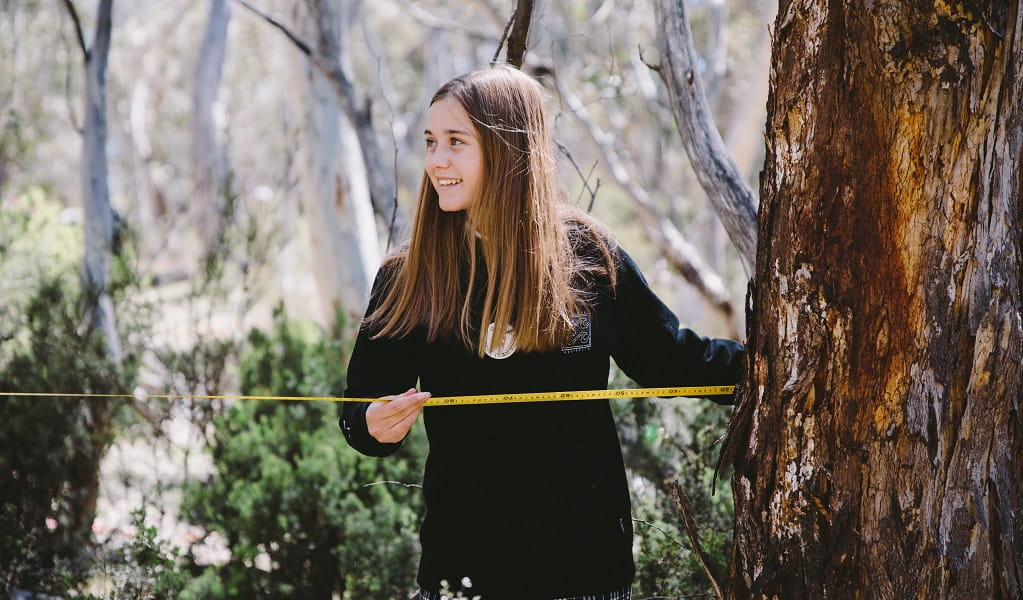 A school student measuring a transect, Kosciuszko National Park. Photo: Remy Brand &copy; DPE