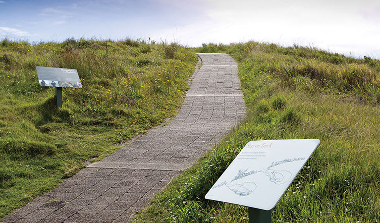 Muttonbird Island Nature Reserve. Photo: Rob Cleary/Seen Australia