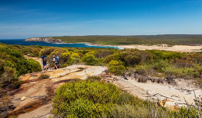 Coastal track, Royal National Park. Photo: David Finnegan