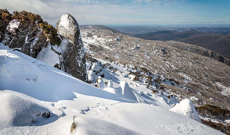 Alpine environment, snow-covered mountain range, Kosciuszko National Park. Photo: John Spencer