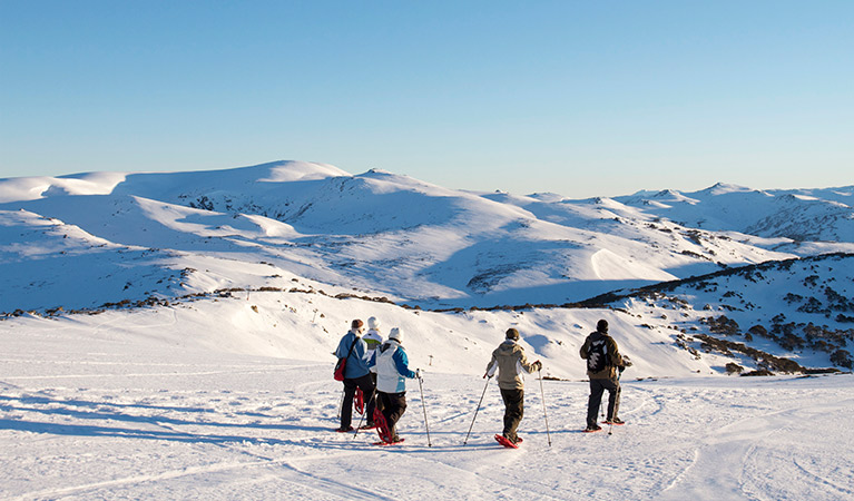 Kosciuszko National Park. Photo: OEH