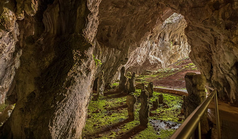 Yarrangobilly Caves, Kosciuszko National Park. Photo: Murray Vanderveer