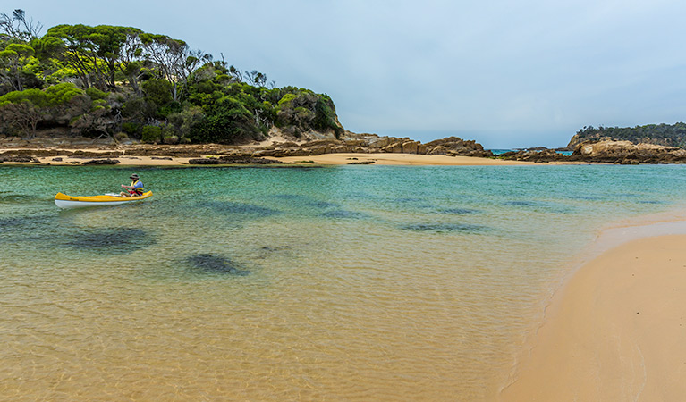 Mimosa Rocks National Park. Photo: David Finnegan