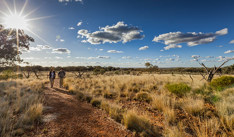 Gundabooka National Park. Photo: David Finnegan