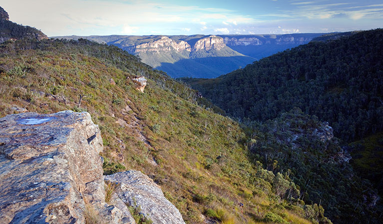 Blue Mountains National Park. Photo: Nick Cubbin