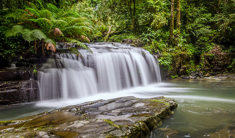 Barrington Tops National Park. Photo: John Spencer