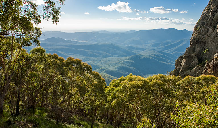 Woodlands environment, West Kaputar lookout, Mount Kaputar National Park. Photo: Ian Brown