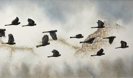 An artwork of black cockatoos in flight through the mountains from On the Wing art exhibition at Blue Mountains Heritage Centre. Photo: Steve Tredinnick &copy; Steve Tredinnick