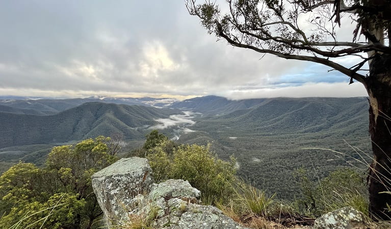 Views over Guy Fawkes River National Park and River from Lucifers Thumb lookout. Photo © Tina Sullivan