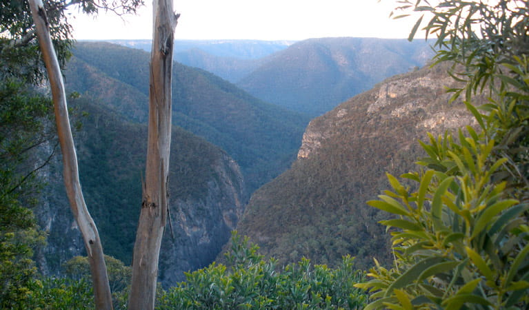 View of Slot Canyon from Adams Lookout, Bungonia National Park. Photo: Audrey Kutzner/NSW Government