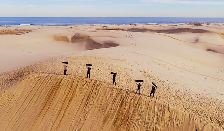 Aerial view of 5 people standing at the top of a massive sand dune, holding their sand boards in the air. Photo &copy; 4WD Tours R Us