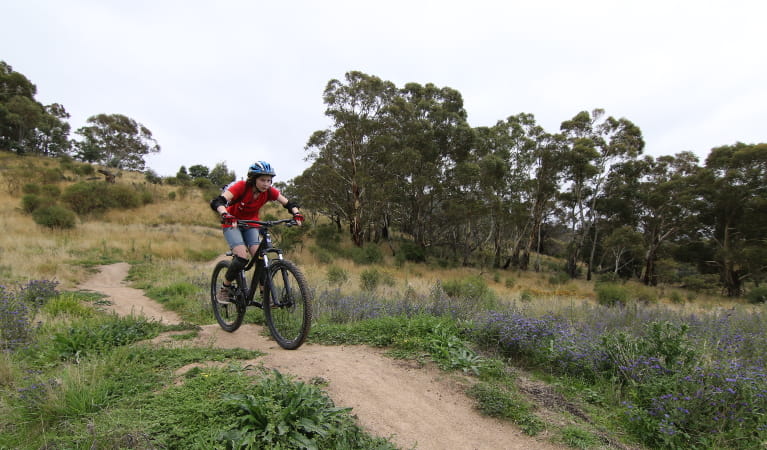 Student riding their mountain bike over a crest in the trail. Photo: L. Kneller/Action Learning Initiatives