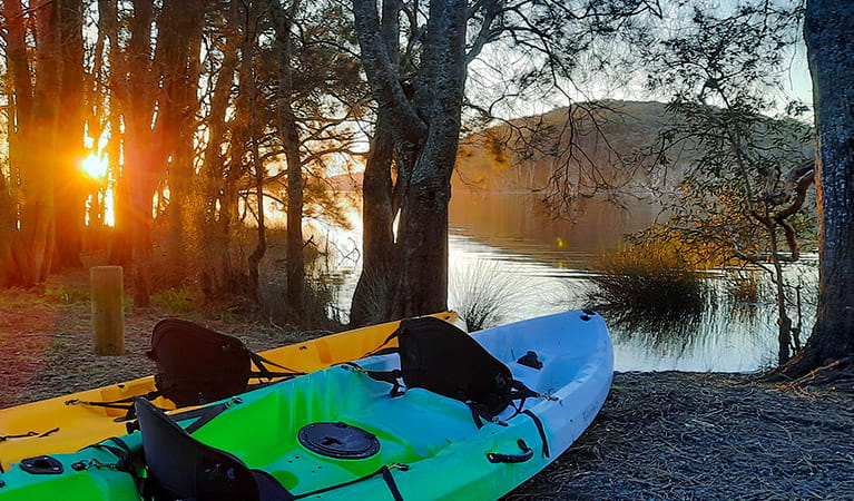 View of 2 brightly-coloured kayaks at the shoreline of Myall Lake, with the sun setting behind trees. Photo credit: Tony Schofield &copy; Adventure Activities Outdoors  
