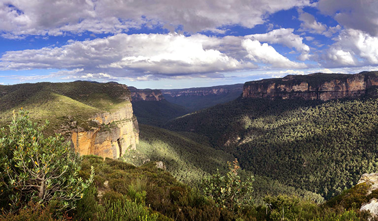 Sweeping vista of steep cliff bands and forest-clad valleys in Blue Mountains National Park. Photo credit: Julien Nicolle &copy; All About Australian Tours