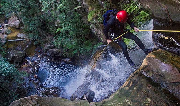 A person abseiling down a canyon in Blue Mountains National Park. Photo: &copy; Australian School of Mountaineering.