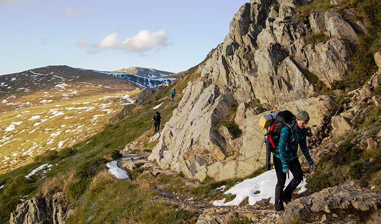 A group of hikers treks along a mountain path among rock crags, snow patches and open alpine heathland. Photo &copy; Rachel Dimond