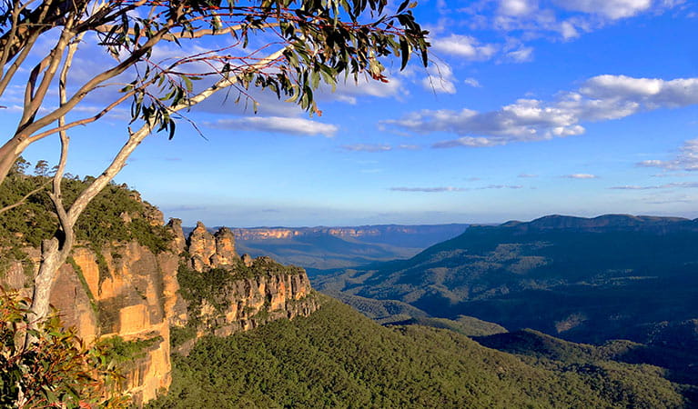 View past a gum tree to cliff bands with the Three Sisters rock formations n the background. Photo credit: Ben Matthews &copy; Autopia Tours