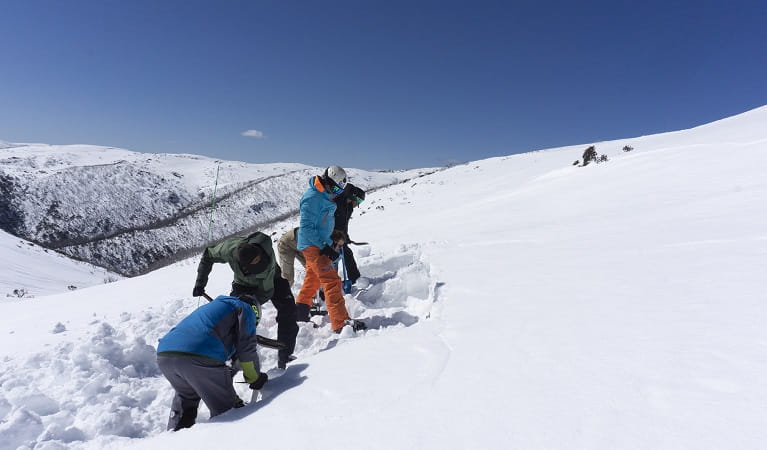 A group of people digging in the snow with shovels. Photo: Avalanche Training Australia