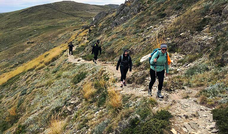 A group of 4 hikers with packs walk a rugged alpine mountain track in Kosciuszko National Park. Photo credit: Matt Jolley &copy; Bang Fitness Adventures