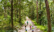 A Beyond Byron E Bikes tour group riding through the ancient rainforest of Mount Jerusalem National Park. Photo: Steve Back &copy; Beyond Byron E Bikes