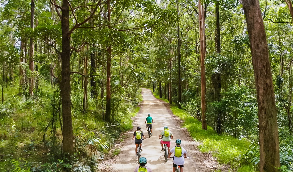 A Beyond Byron E Bikes tour group riding through the ancient rainforest of Mount Jerusalem National Park. Photo: Steve Back © Beyond Byron E Bikes