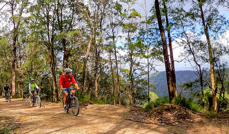 3 cyclists ride through forest along a dirt track with mountain and valley views. Photo credit: Steve Back &copy; Beyond Byron E Bikes