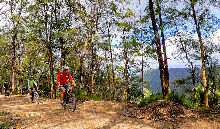 3 cyclists ride through forest along a dirt track with mountain and valley views. Photo credit: Steve Back © Beyond Byron E Bikes