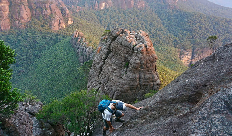 A man scaling a rock with the Budawangs wilderness in the background in Morton National Park.  Photo credit: Chris Zinon &copy; Big Nature Adventures