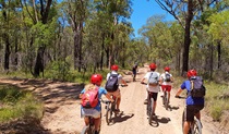 A group of mountain bikers follows a guide along a fire trail through Blue Mountains bushland.  Photo credit: Sam Carr &copy; Blue Mountains Biking Adventures 