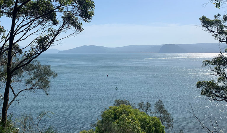 A view of the ocean through trees with stand up paddle boarders in the distance, in Bouddi National Park. Photo: Tina Vella &copy; Bombora Ettalong Beach SUP