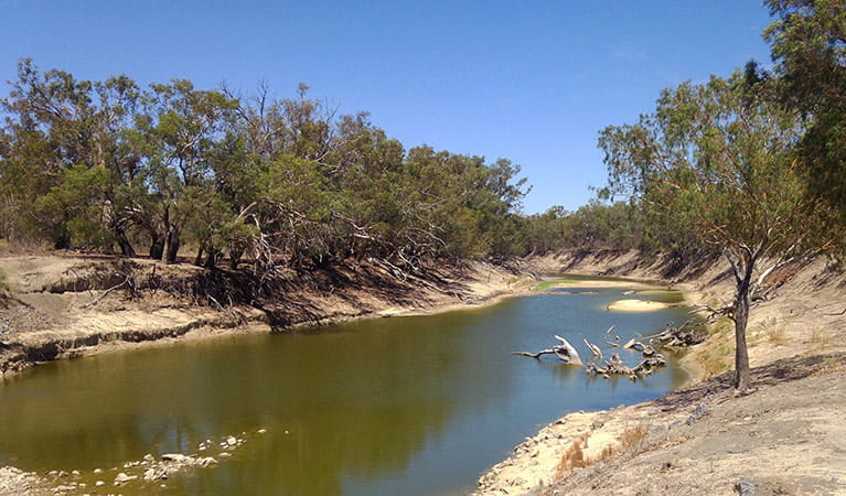A river flowing between dry, tree-covered banks under a clear blue sky. Photo credit: Milton Hawke  &copy; Broken Hill City Sights and Heritage Tours 