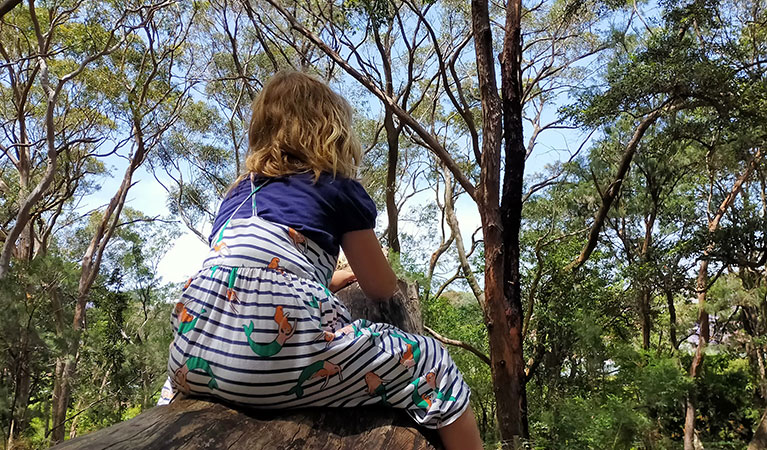 The back of a child sitting on a log, looking at the surrounding bushland. Photo: Brian White © Bushlarks Outdoor Adventures