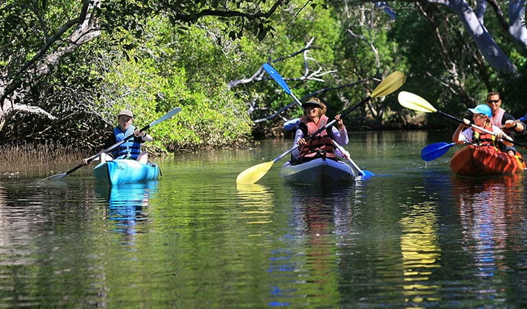 A family paddling in 3 kayaks along the Brunswick River. Photo &copy; Byron Bay Eco Cruises & Kayaks