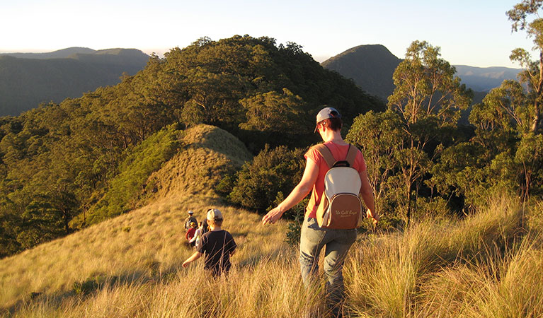 A group of people descending a hill on a guided walk on Pieries Peak in Mount Royal National Park with Callicoma Hill. Photo: Martin Fallding &copy; Callicoma Hill