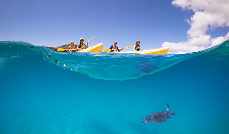 People paddle 2 yellow kayaks over the waves as a sea turtle swims below the surface. Photo &copy; Cape Byron Kayaks