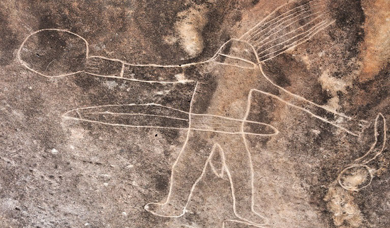 An Aboriginal rock engraving at Bulgandry Art Site Aboriginal Place in Brisbane Water National Park. Photo: © Darkinjung LALC