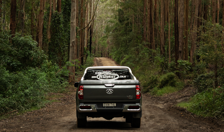 Grey 4WD Watagans National Park. Photo © Detourist