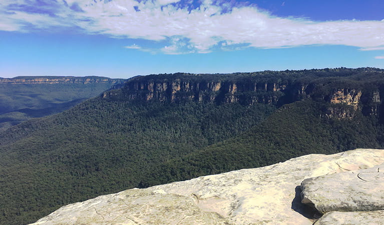 Sweeping view past a rock ledge to forest-clad valleys and steep cliff bands in the Blue Mountains. Photo credit: Jelle Marechal &copy; Dingo Tours
