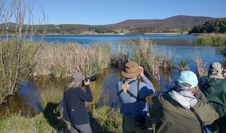 A group of people looking through their binoculars on an Eagle-Eye Tours birdwatching trip. Credit: Scott Roberts &copy; Eagle-Eye Tours